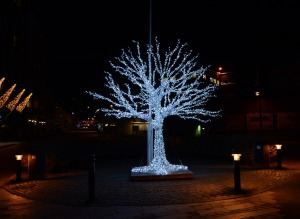Der Weihnachtsbaum in Tromsø.